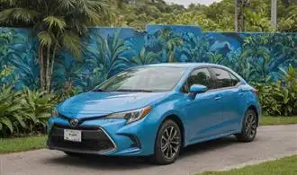 Personalize Your Corolla with Unique Touches